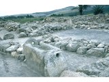 Megiddo - Stables - Horse trough. Stables for 450 horses, plus spaces for chariots. Probably built by Ahab, not Solomon. The trough may be the kind Jesus was laid in when born.